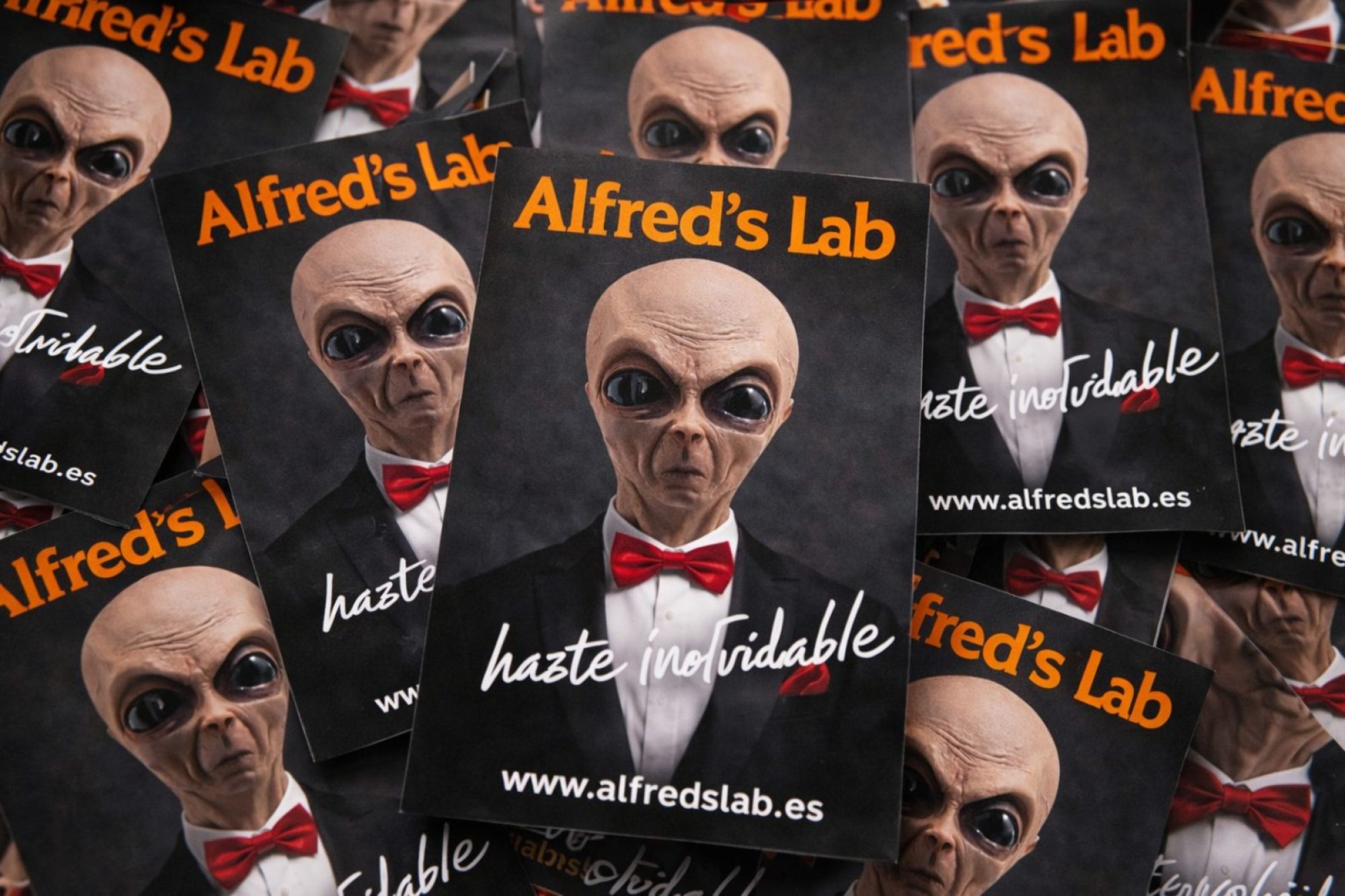 WhatsApp Image 2026-02-26 at 4.42.54 PM