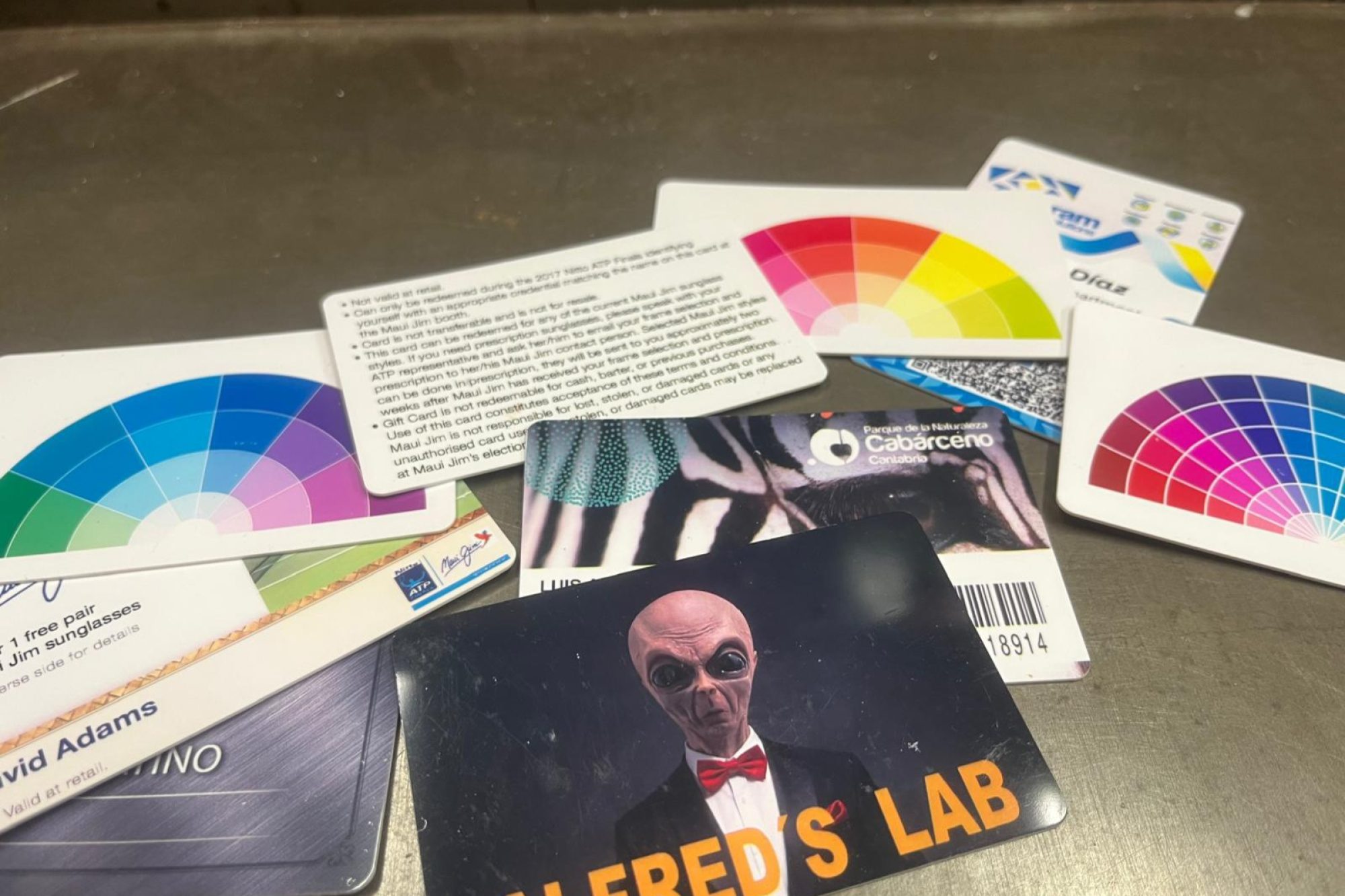 WhatsApp Image 2026-02-26 at 4.42.59 PM